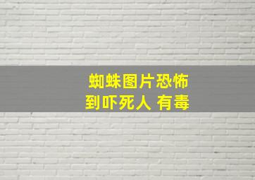 蜘蛛图片恐怖到吓死人 有毒